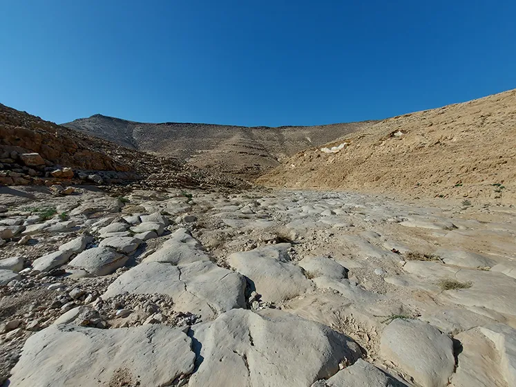טרק חוצה מדבר יהודה