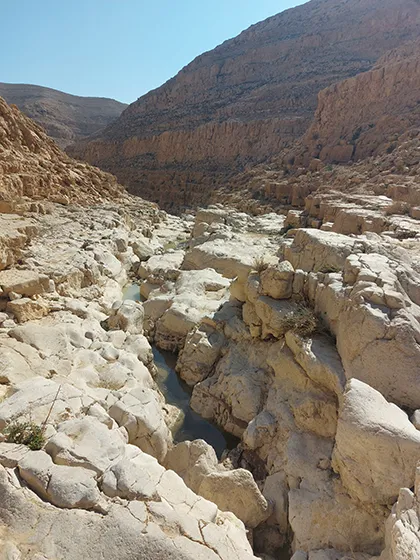 טרק חוצה מדבר יהודה