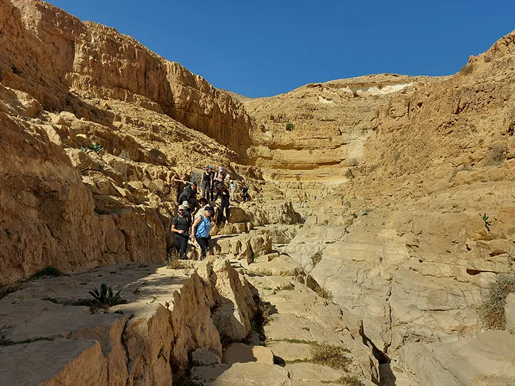 טרק חוצה מדבר יהודה