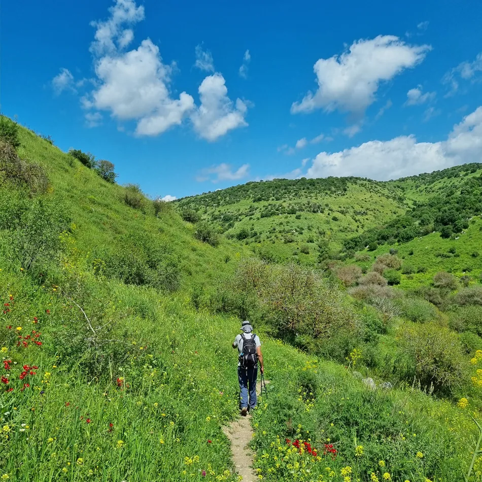 שביל הגולן מעין פיק למצפה יואב