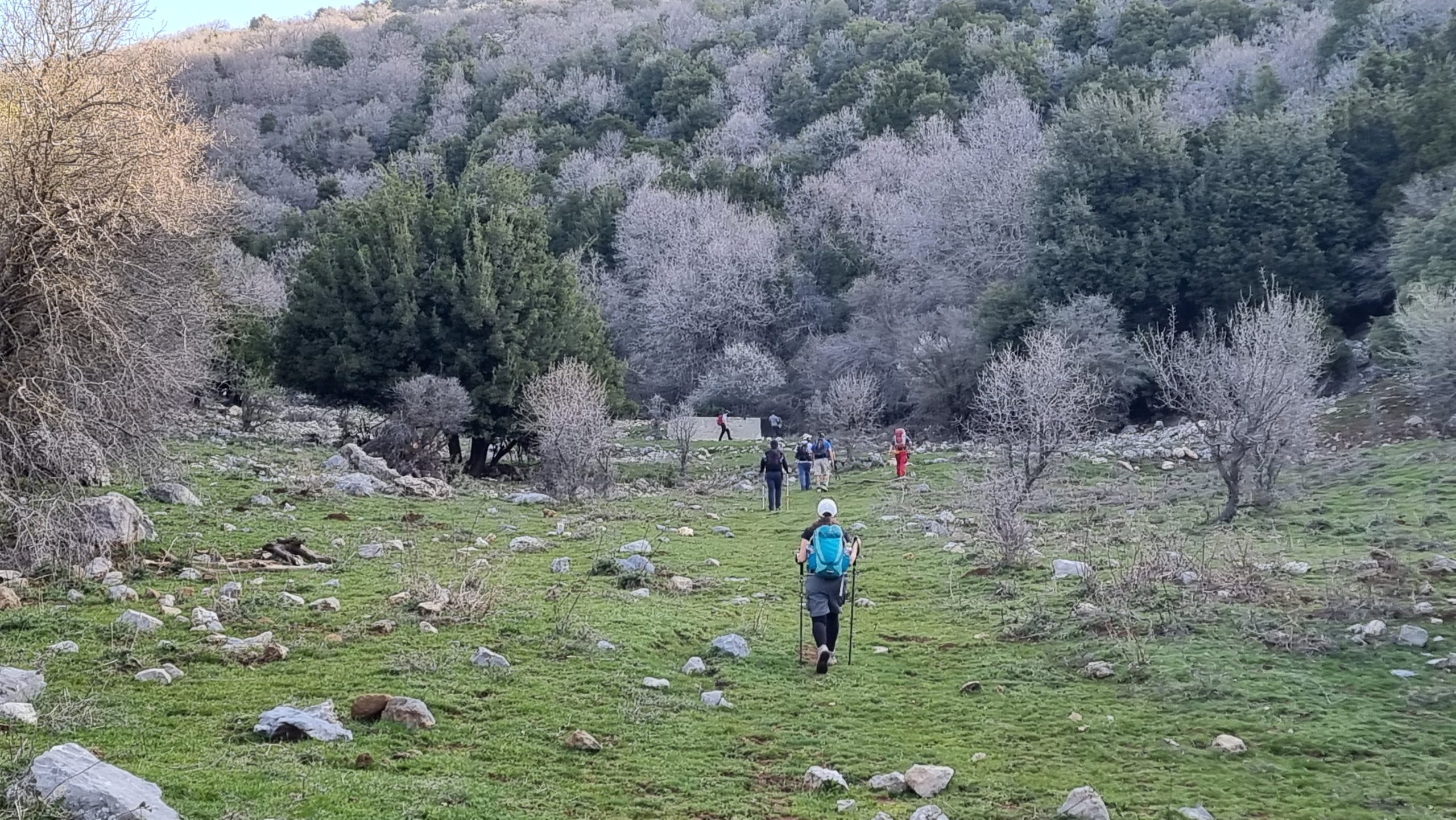 טרק למרומי החרמון