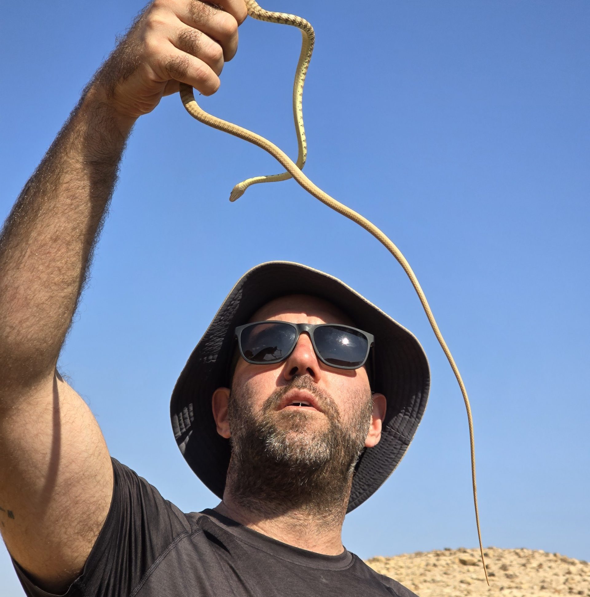 טרק חוצה מדבר יהודה